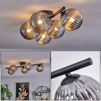 Chehalis Plafondlamp Rookkleurig, 5-lichts