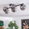 Chehalis Plafondlamp Rookkleurig, 5-lichts