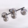 Chehalis Plafondlamp Rookkleurig, 5-lichts