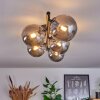 Chehalis Plafondlamp Rookkleurig, 5-lichts