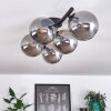 Chehalis Plafondlamp Rookkleurig, 5-lichts