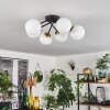 Chehalis Plafondlamp Goud, Zwart, 6-lichts