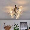 Chehalis Plafondlamp - Glas Duidelijk, 5-lichts