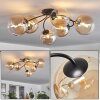 Chehalis Plafondlamp Amber, Duidelijk, 6-lichts