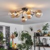 Chehalis Plafondlamp Amber, Duidelijk, 6-lichts