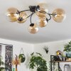 Chehalis Plafondlamp Amber, Duidelijk, 6-lichts