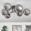 Chehalis Plafondlamp Rookkleurig, 6-lichts
