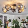 Chehalis Plafondlamp Rookkleurig, 6-lichts