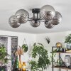Chehalis Plafondlamp Rookkleurig, 6-lichts