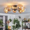 Chehalis Plafondlamp Amber, 6-lichts