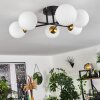 Chehalis Plafondlamp Goud, Zwart, 6-lichts