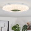 Lumsden Plafondlamp LED Wit, 1-licht, Bewegingsmelder