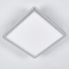 Pawcatuck Inbouw verlichting LED Chroom, Wit, 1-licht
