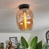 Apedo Plafondlamp - Glas Amber, 1-licht