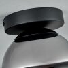 Gastor Plafondlamp - Glas Chroom, Rookkleurig, 1-licht