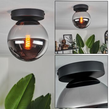 Gastor Plafondlamp - Glas Chroom, Rookkleurig, 1-licht