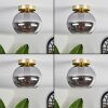 Apedo Plafondlamp - Glas Messing, 1-licht