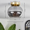 Apedo Plafondlamp - Glas Messing, 1-licht