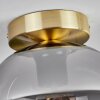 Apedo Plafondlamp - Glas Messing, 1-licht