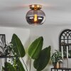 Apedo Plafondlamp - Glas Messing, 1-licht