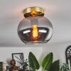 Apedo Plafondlamp - Glas Messing, 1-licht