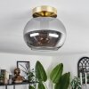 Apedo Plafondlamp - Glas Messing, 1-licht