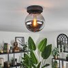Gastor Plafondlamp - Glas Rookkleurig, 1-licht
