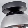 Gastor Plafondlamp - Glas Rookkleurig, 1-licht