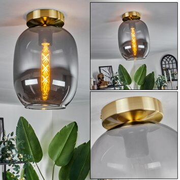 Apedo Plafondlamp - Glas Messing, 1-licht