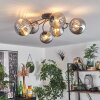 Chehalis Plafondlamp Rookkleurig, 6-lichts
