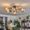 Chehalis Plafondlamp Amber, Rookkleurig, 6-lichts