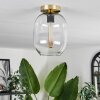 Apedo Plafondlamp - Glas Messing, 1-licht