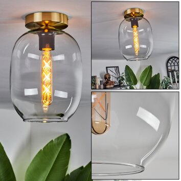 Apedo Plafondlamp - Glas Messing, 1-licht