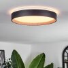 Sassemte Plafondlamp LED Wit, 1-licht