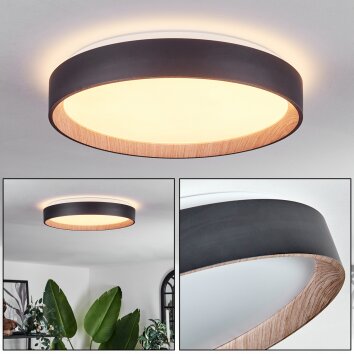 Sassemte Plafondlamp LED Wit, 1-licht