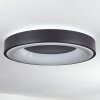 Palanko Plafondlamp LED Wit, 1-licht, Afstandsbediening