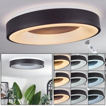Palanko Plafondlamp LED Wit, 1-licht, Afstandsbediening