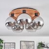 Koyoto Plafondlamp - Glas Natuurlijke kleuren, Zwart, 5-lichts