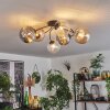 Chehalis Plafondlamp Amber, Duidelijk, Rookkleurig, 6-lichts