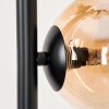Remaisnil Staande lamp - Glas Zwart, 6-lichts