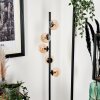 Remaisnil Staande lamp - Glas Zwart, 5-lichts