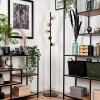 Remaisnil Staande lamp - Glas Zwart, 5-lichts