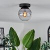 Gastor Plafondlamp - Glas Duidelijk, Rookkleurig, 1-licht