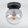 Gastor Plafondlamp - Glas Duidelijk, Rookkleurig, 1-licht