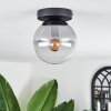 Gastor Plafondlamp - Glas Duidelijk, Rookkleurig, 1-licht
