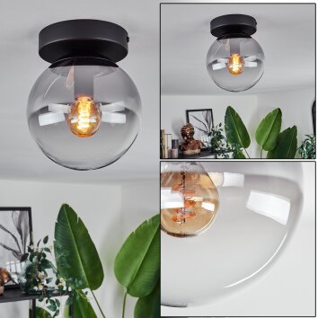 Gastor Plafondlamp - Glas Duidelijk, Rookkleurig, 1-licht