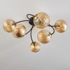 Chehalis Plafondlamp - Glas Goud, Zwart, 6-lichts