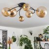Chehalis Plafondlamp - Glas Goud, Zwart, 6-lichts