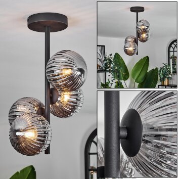 Chehalis Plafondlamp - Glas Rookkleurig, 4-lichts