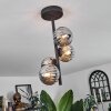 Chehalis Plafondlamp - Glas Rookkleurig, 4-lichts